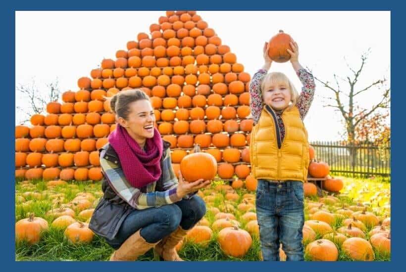 Preschooler with pumpkin