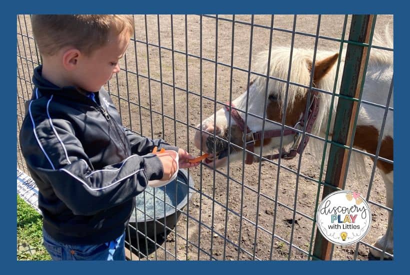Image of Child at petting zoo